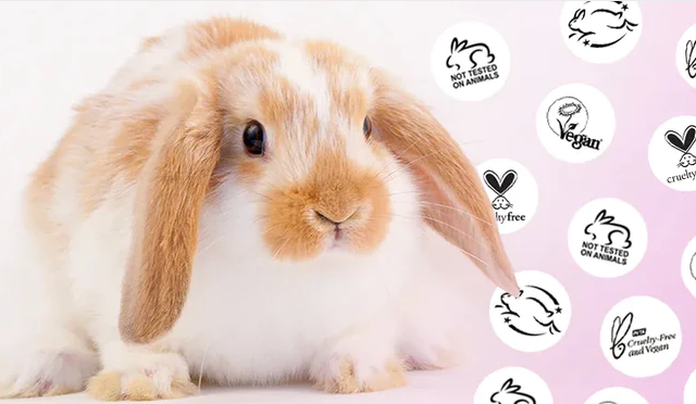 A World Without Animal Testing: Why Opt for Cruelty-Free Products?